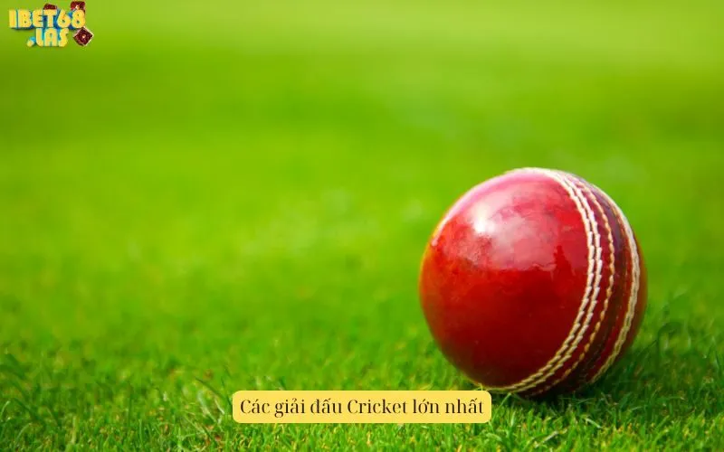 Các giải đấu Cricket lớn nhất