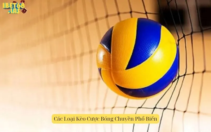 Các Loại Kèo Cược Bóng Chuyền Phổ Biến