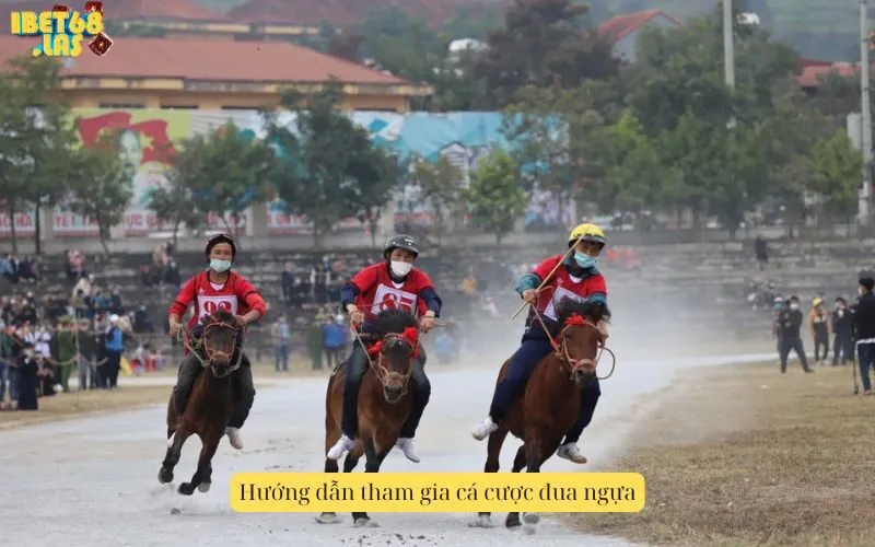 Hướng dẫn tham gia cá cược đua ngựa