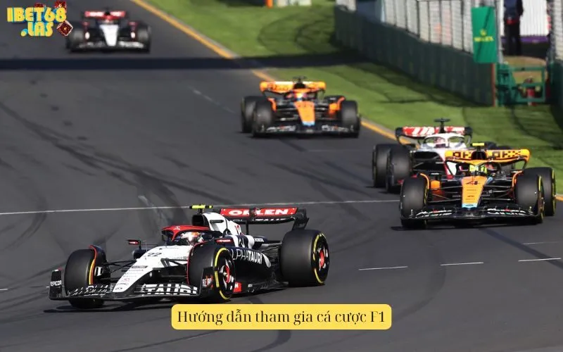 Hướng dẫn tham gia cá cược F1