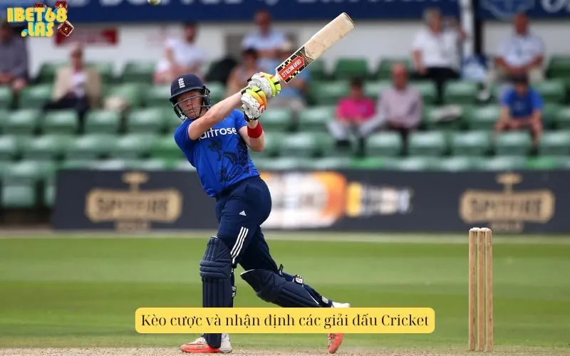 Kèo cược và nhận định các giải đấu Cricket