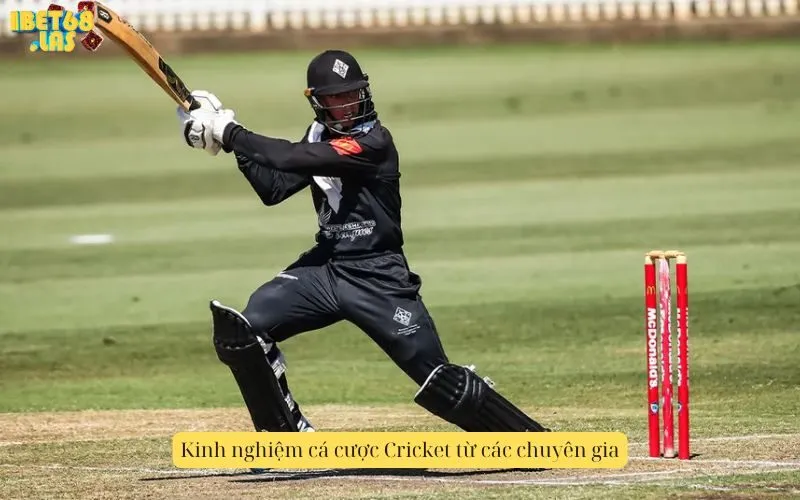 Kinh nghiệm cá cược Cricket từ các chuyên gia