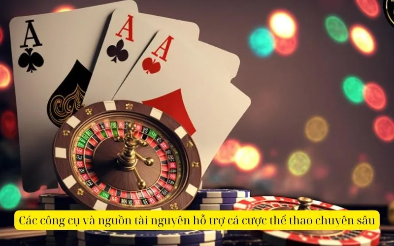 Các công cụ và nguồn tài nguyên hỗ trợ cá cược thể thao chuyên sâu